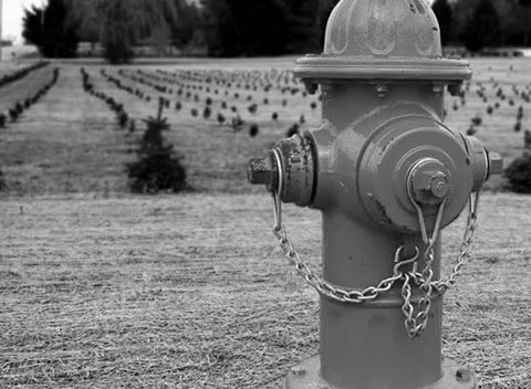 虚拟号码手机号发送平台